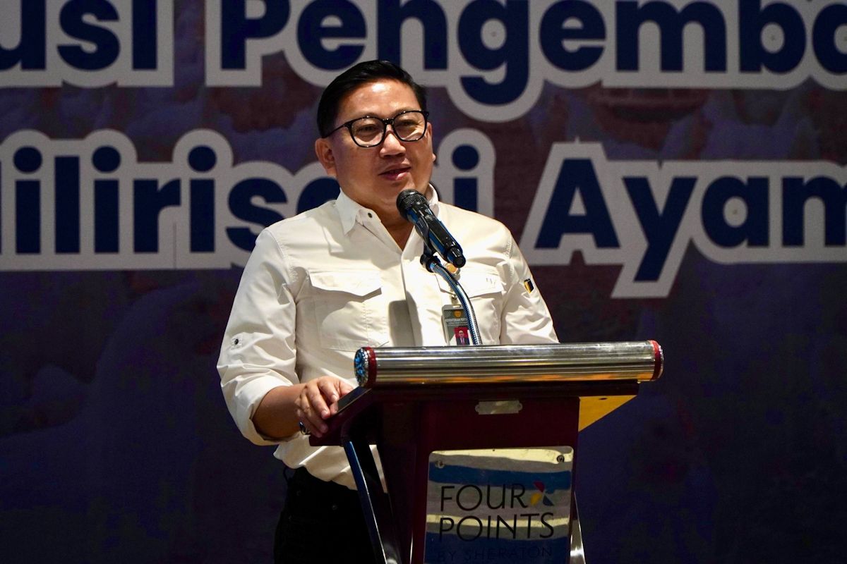 Kementan-BUMN tegaskan hilirisasi ayam di Bone untuk peternak rakyat