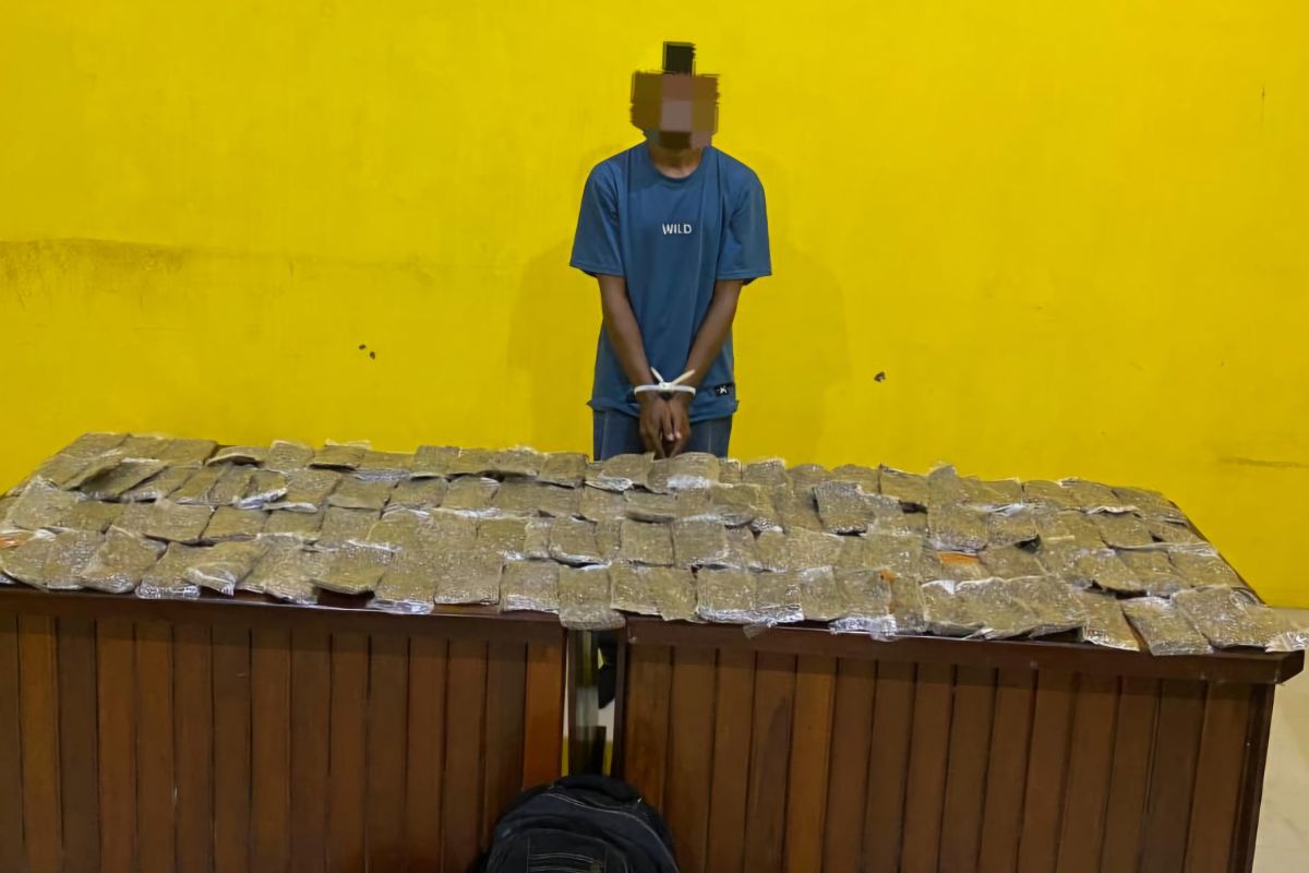 Polisi gagalkan peredaran ganja 4,8 kg jaringan PNG di Sorong