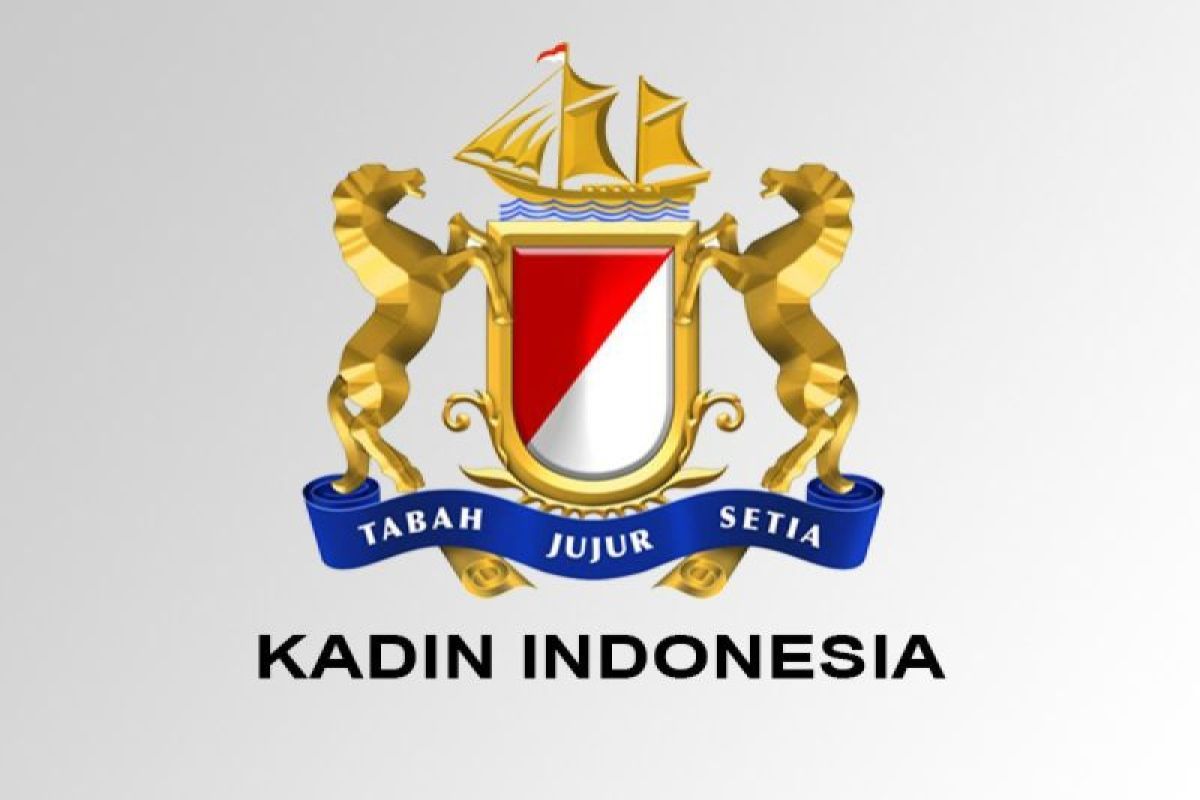 Kadin sebut DSI tekan