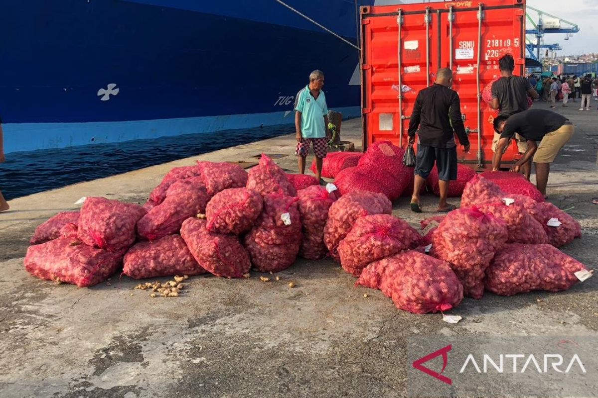 BKHIT Maluku periksa 7,7 ton bawang merah tujuan Weda Malut