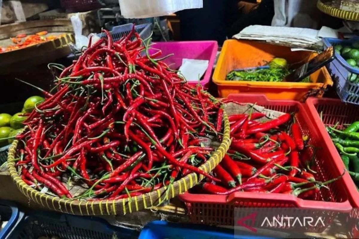 PIHPS: Harga cabai rawit Rp75.650/kg, telur ayam Rp30.400/kg
