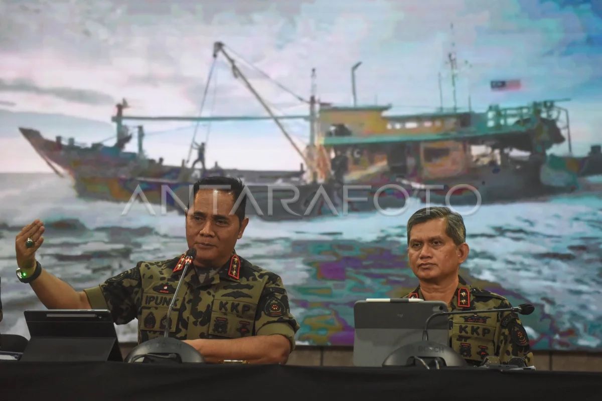 KKP lepasliarkan 1.300 ikan Napoleon hasil pengungkapan penyelundupan
