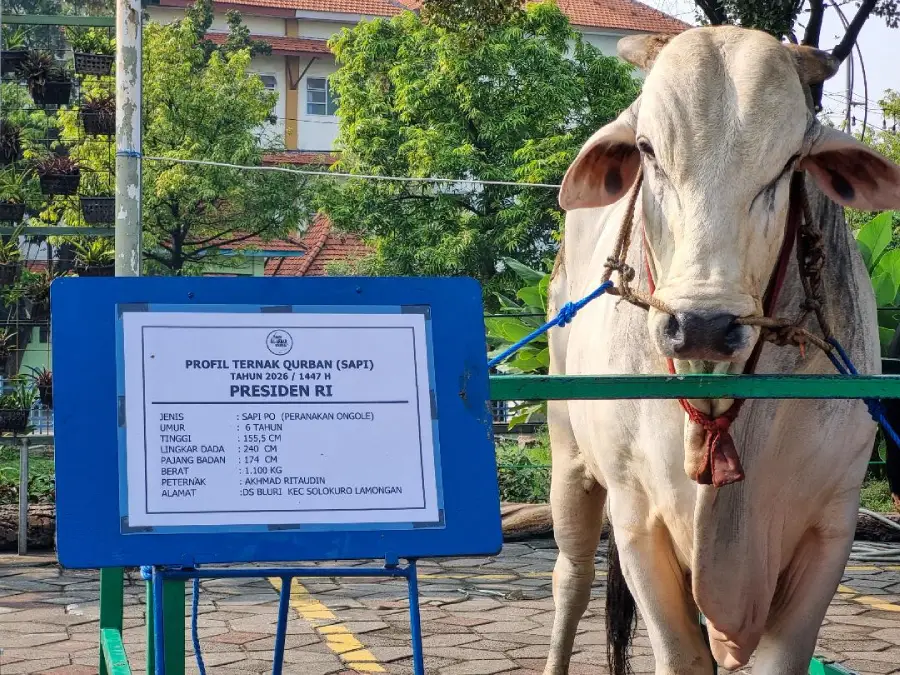 Foto BeritaJatim.com