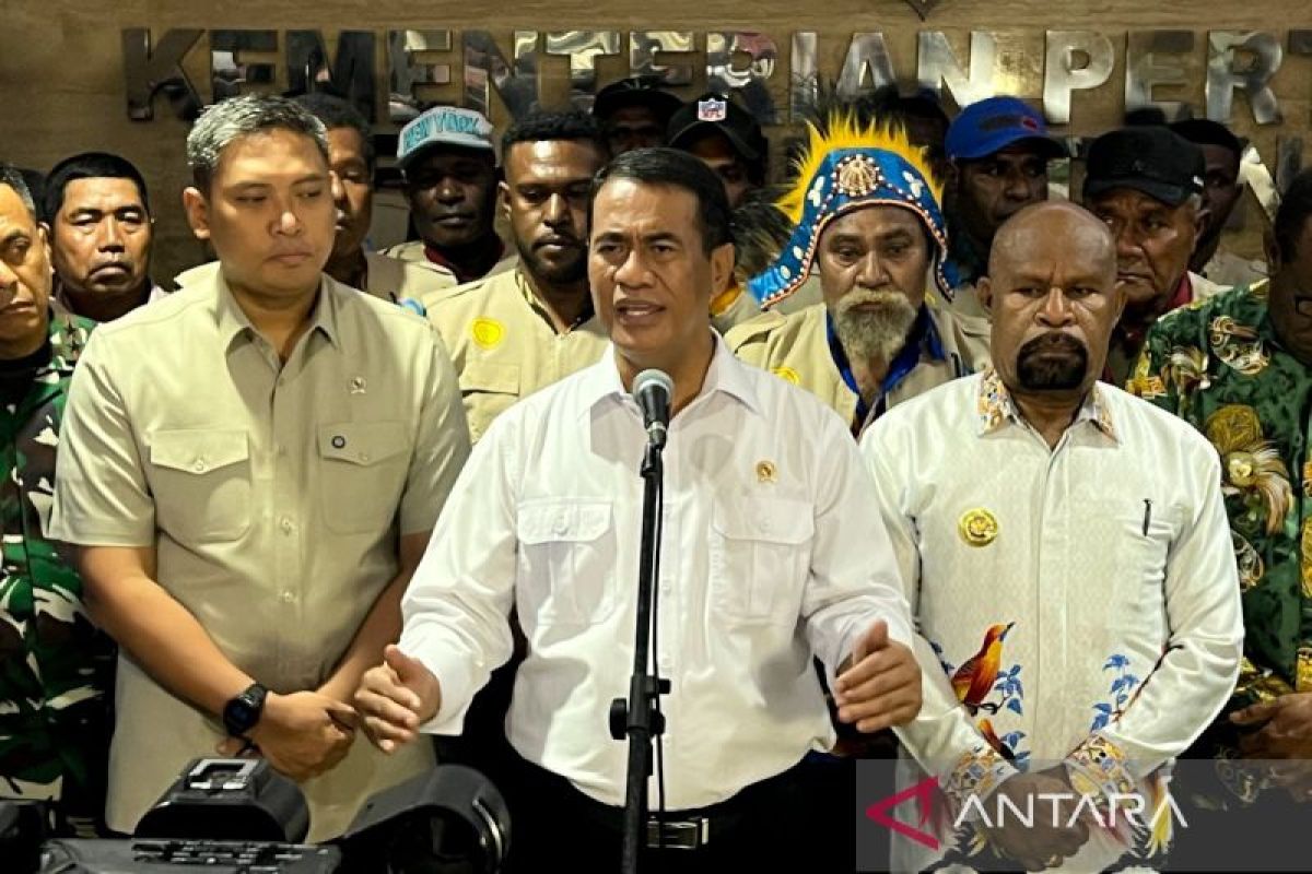 Mentan sebut cetak sawah di Papua capai 80 ribu hektare hingga 2026
