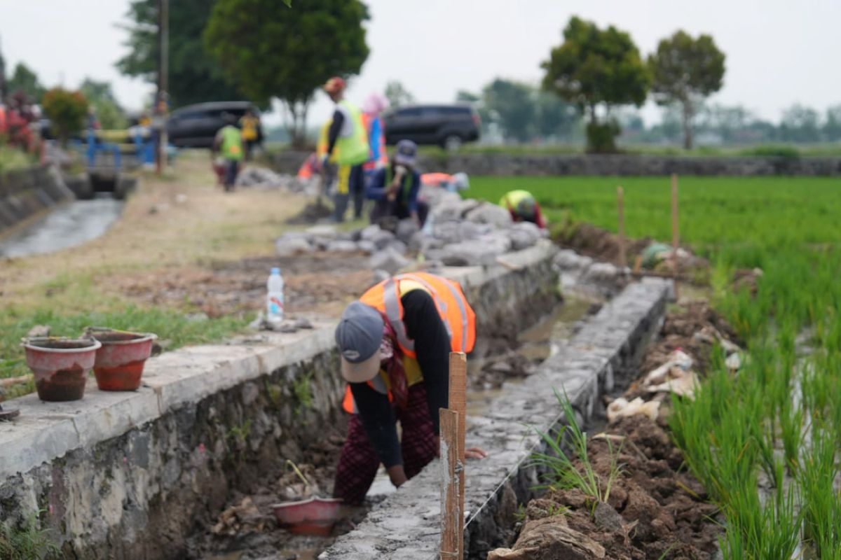 Kemarin, kajian bantuan gula hingga ketersediaan stok beras