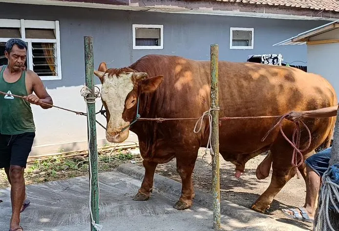 Foto BeritaJatim.com
