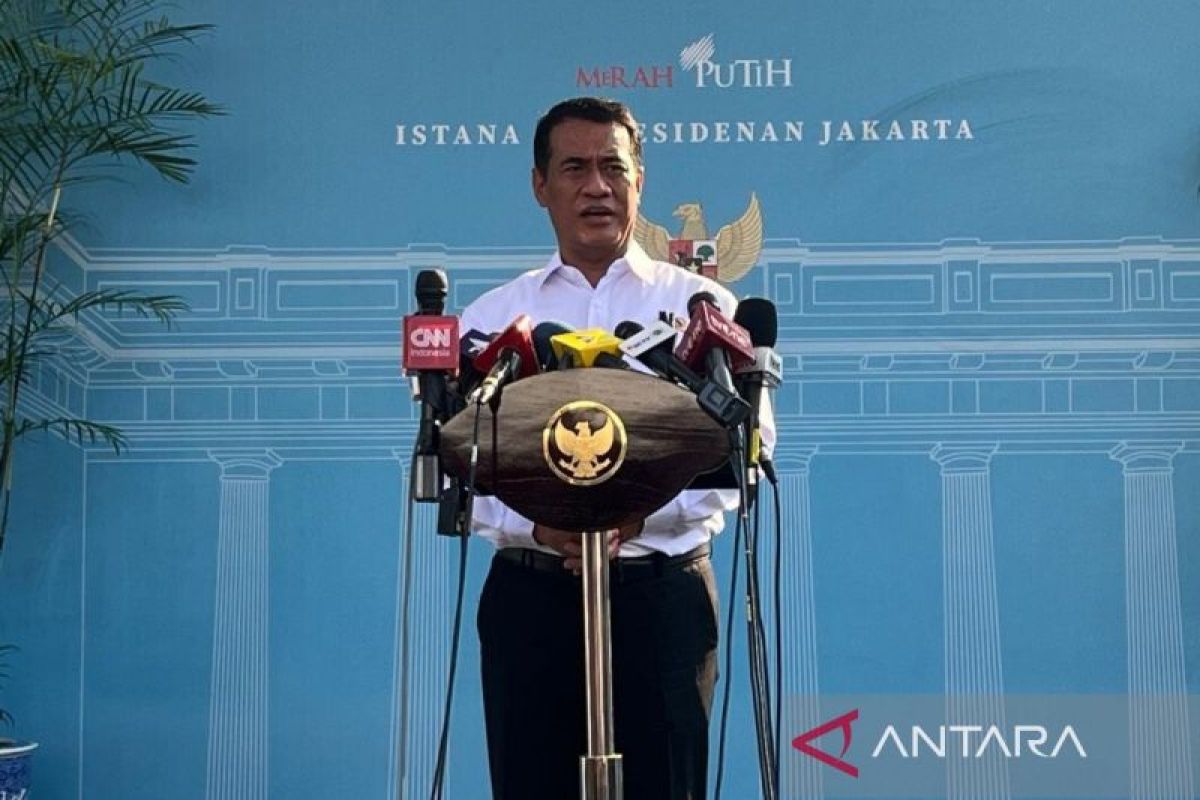 Mentan sebut Indonesia swasembada pangan sesuai standar FAO