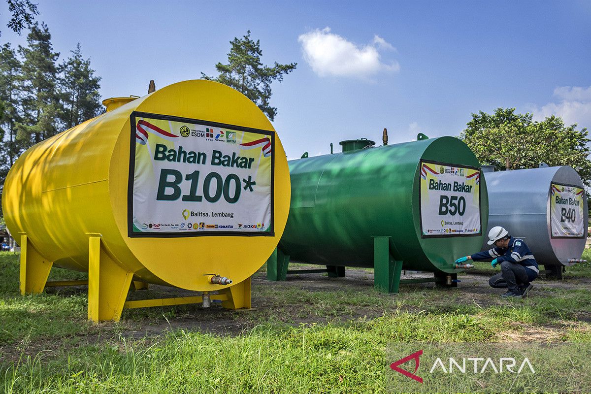 Pakar: Indonesia bisa jadi pionir penerapan biodiesel campuran tinggi