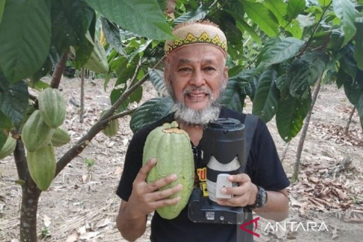 Emas cokelat, modal baru diversifikasi ekonomi berkelanjutan Kutim