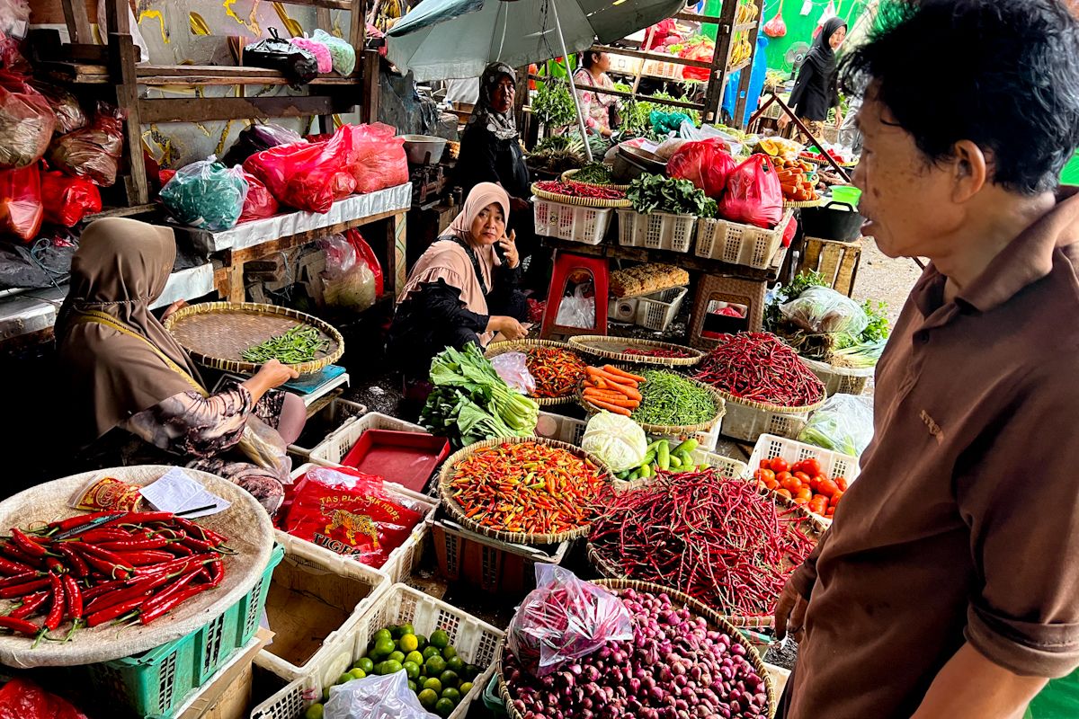 PIHPS catat harga cabai rawit Rp72.650/kg, telur ayam Rp29.950/kg