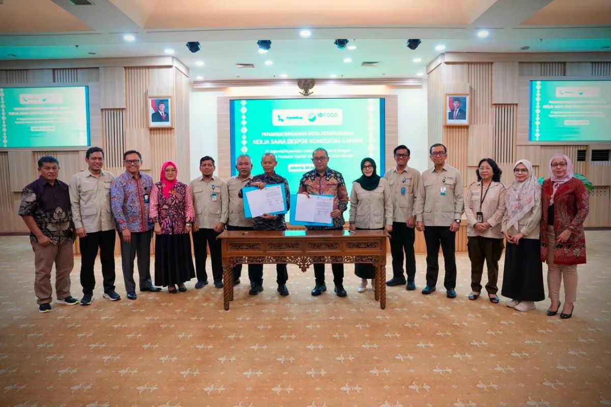 Koperasi gambir di Sumbar dan ID FOOD jalin kerja sama ekspor