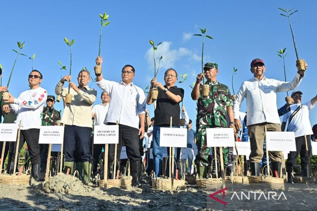 Kemenkeu petakan potensi perdagangan karbon di Bali Rp1,7 triliun