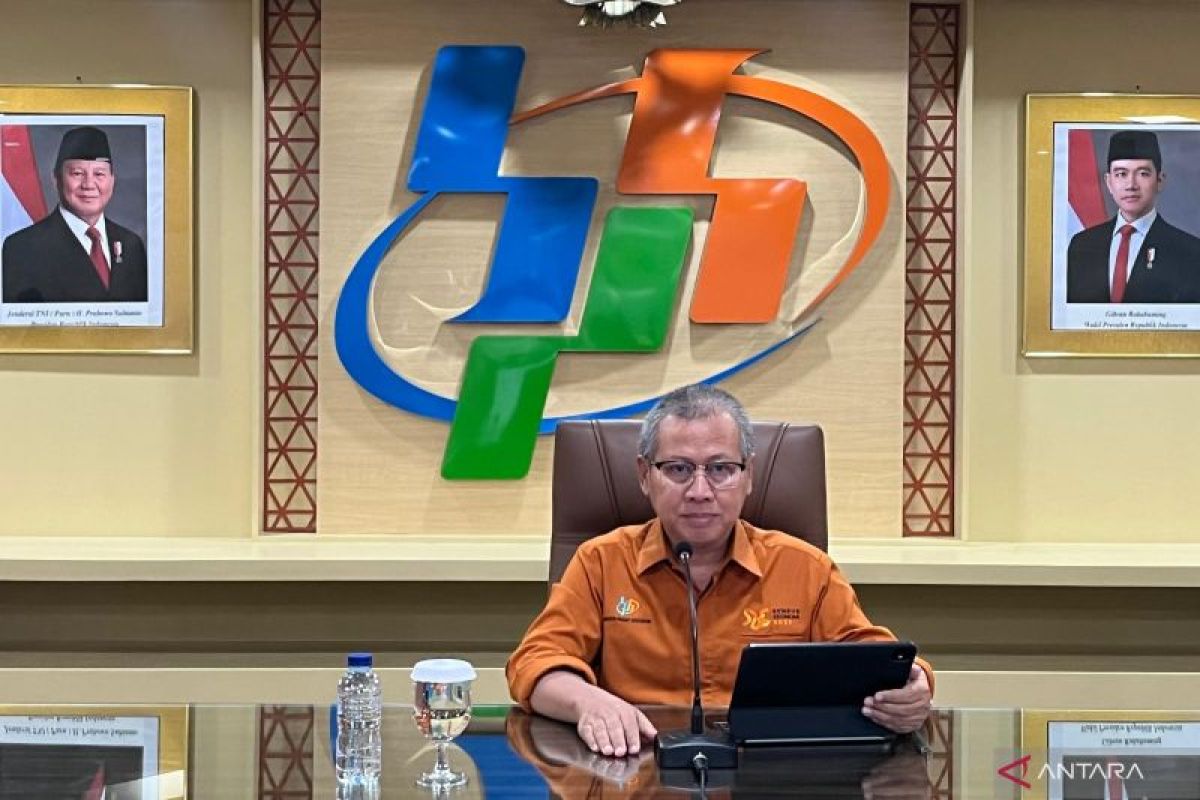 BPS ungkap potensi luas panen dan produksi padi RI Juni-Agustus naik