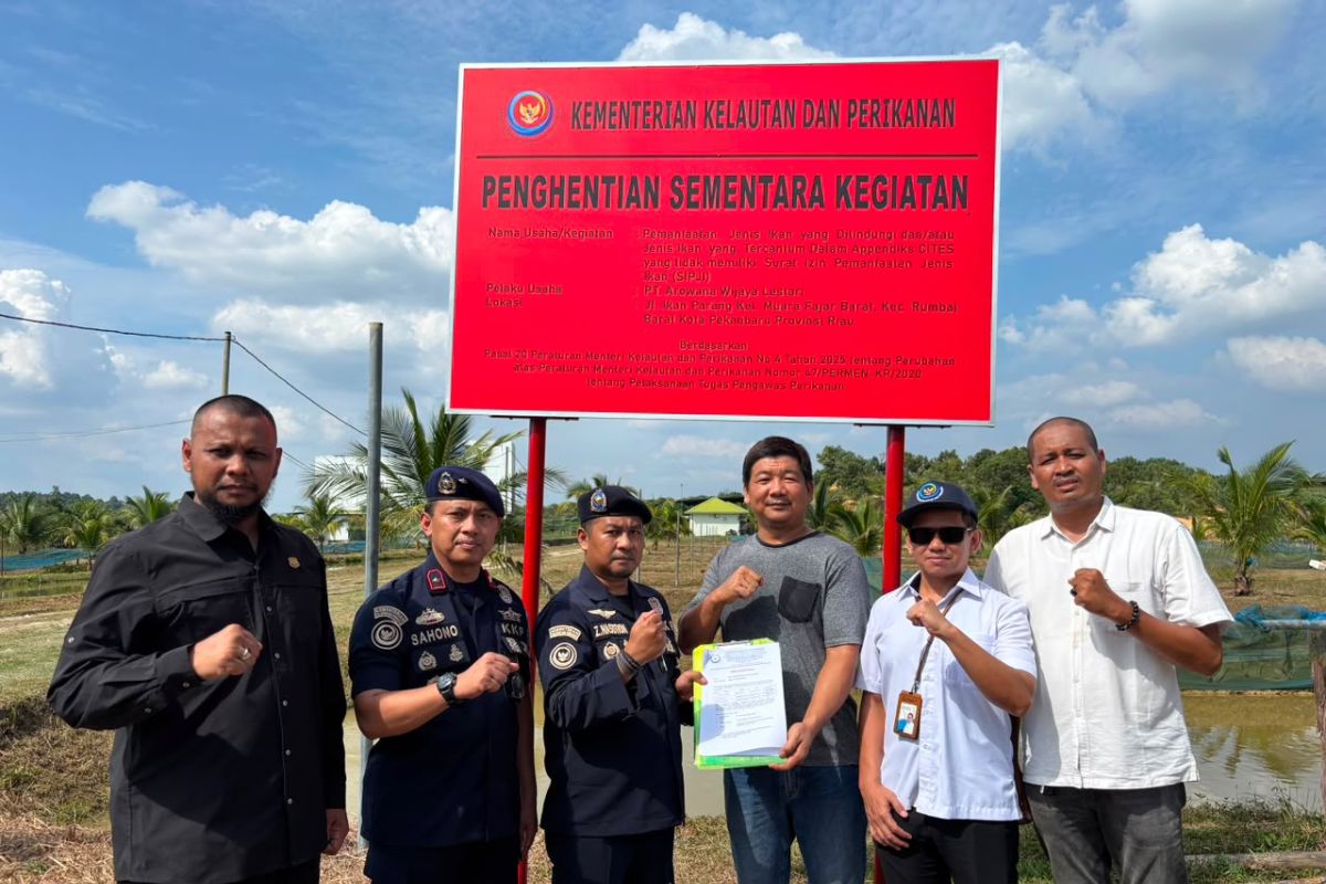 KKP segel budi daya ikan arwana dilindungi tanpa izin di Pekanbaru