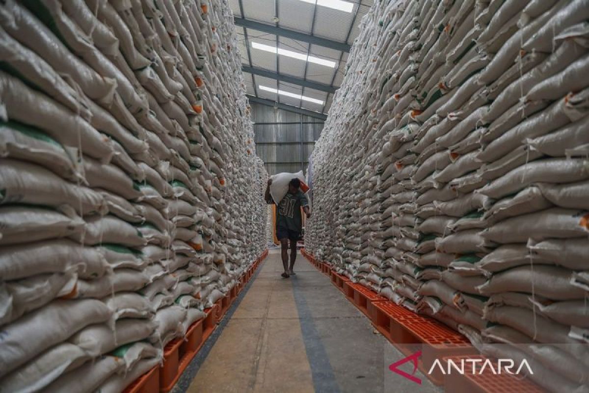 Bapanas pastikan ketersediaan pangan hadapi musim kemarau