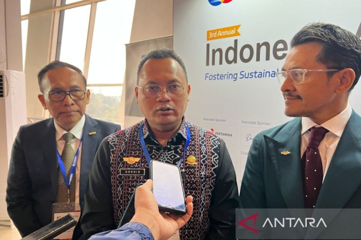 Kemenhub: Penggunaan SAF fokus bandara Soetta dan I Gusti Ngurah Rai