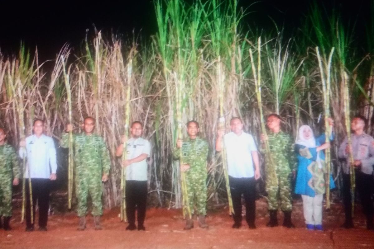Gubernur Sulsel apresiasi komitmen TNI dukung produksi tebu