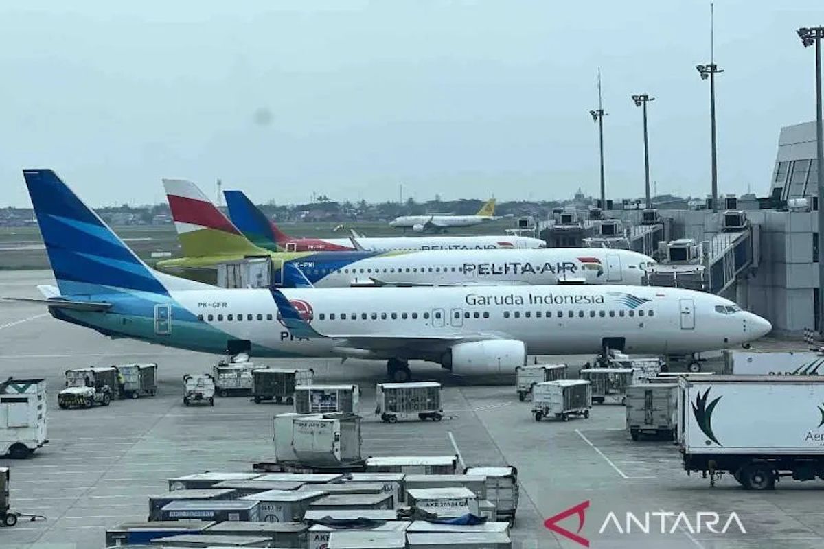 InJourney perkuat konektivitas udara di ASEAN-China lewat ACWG-RASA