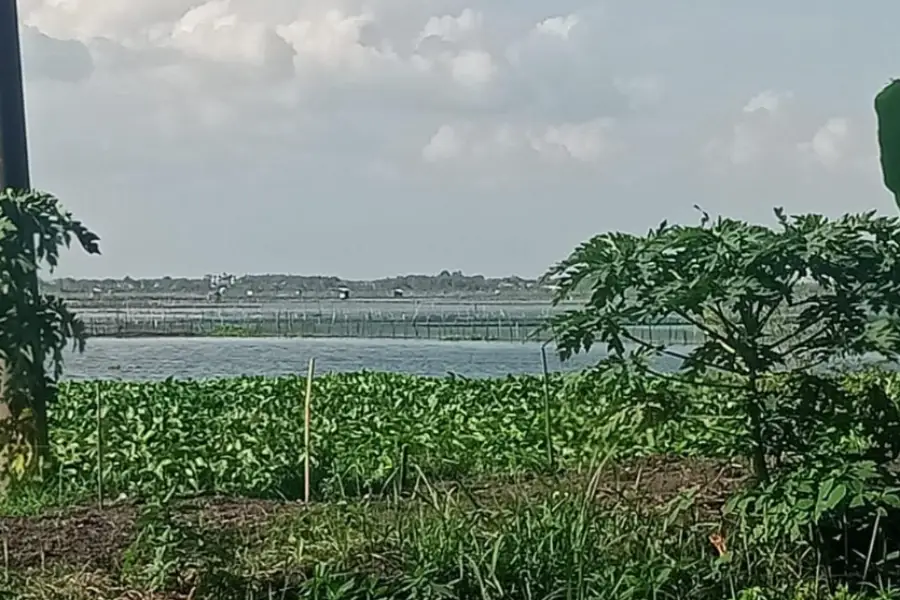 Foto BeritaJatim.com