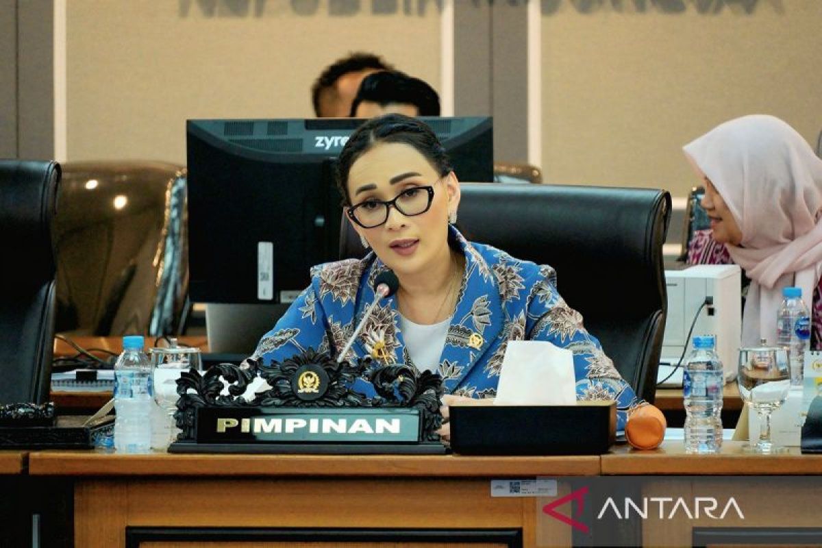 Anggota DPR minta pemerintah jamin pemulihan korban rudapaksa Sampang