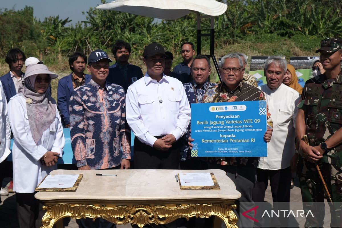 Mentan dorong produksi jagung meningkat lewat penggunaan bibit unggul