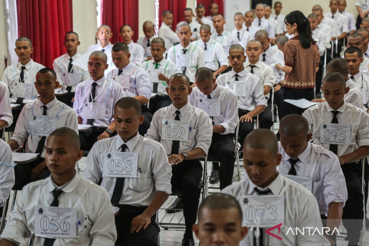 Kemnaker perluas sasaran MagangHub bagi lulusan pendidikan profesi