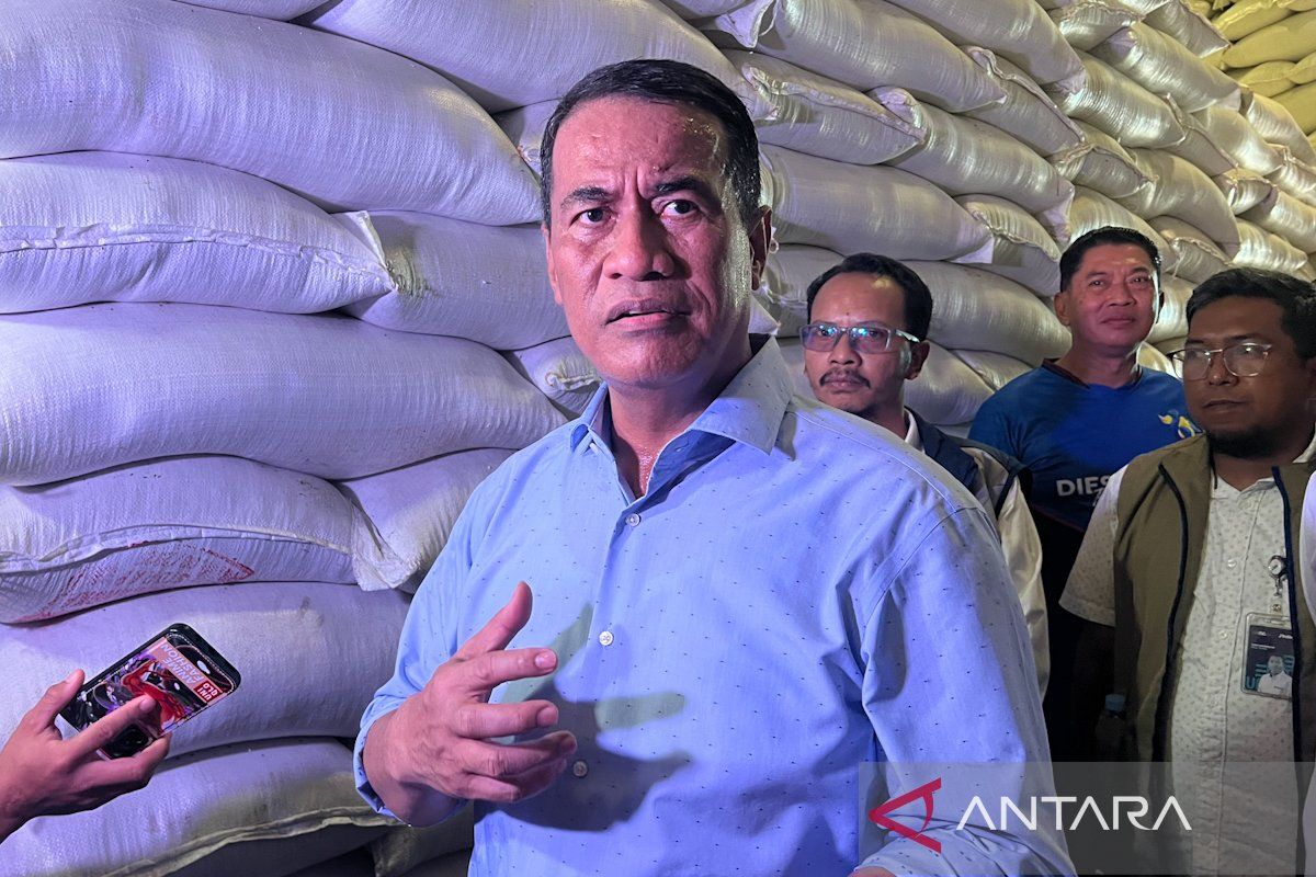 Mentan: Delapan komoditas pangan capai swasembada