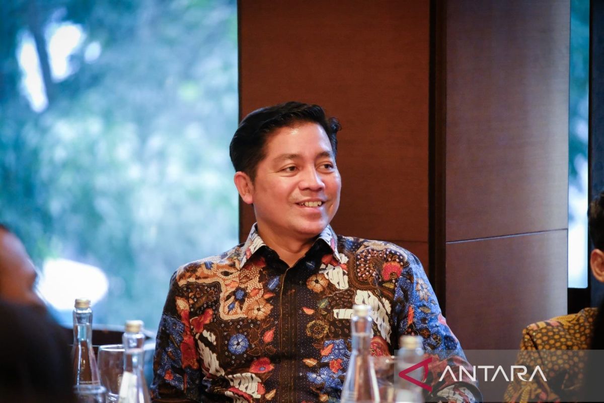 Pemerintah bebaskan Bea Masuk impor suku cadang pesawat dan LPG