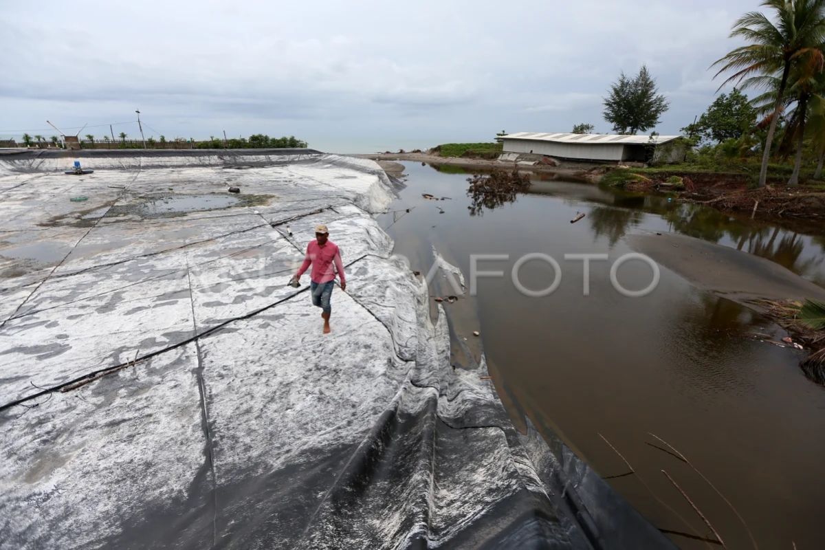 KKP targetkan 15.000 hektare tambak Aceh kembali beroperasi akhir 2026