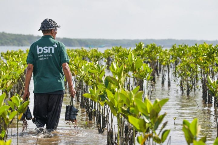 BSN Perkuat Ekosistem Pesisir di Bali